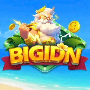 BIGIDN BIGIDN APK icon