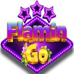 FlaminGo FlaminGo APK icon