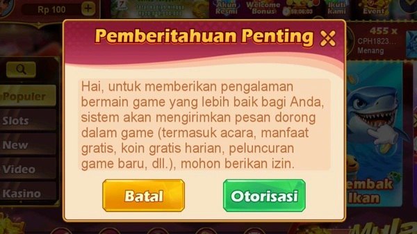 RSNVIP6 RSNVIP6